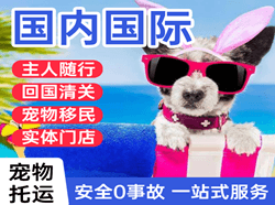 怀化芷江机场快递国际宠物托运 【国